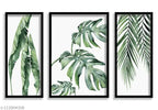 Set of 3 Green Leafy Framed Posters